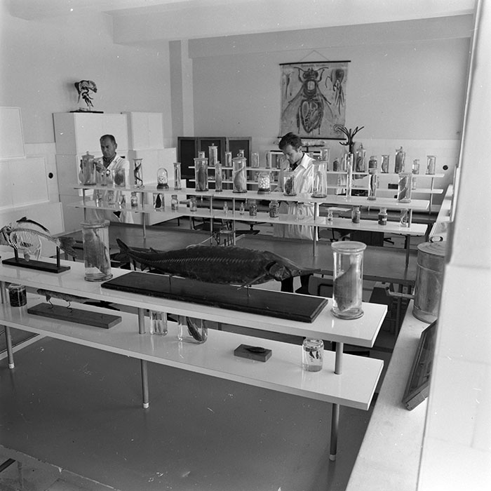 minerva_1965-1972_c1_c18_011