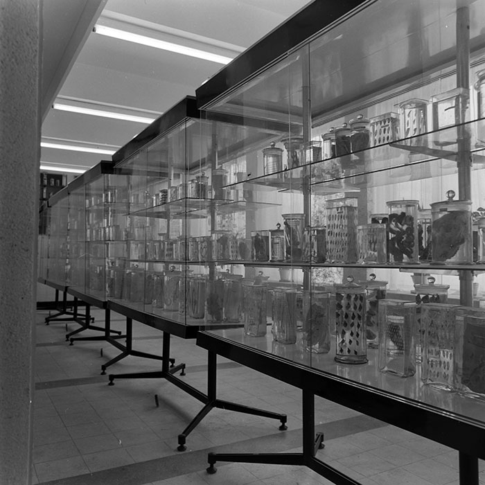 minerva_1965-1972_c1_c18_012