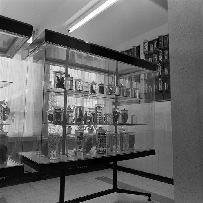 minerva_1965-1972_c1_c18_013