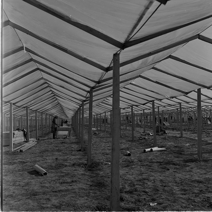 minerva_1965-1972_c1_c19_012