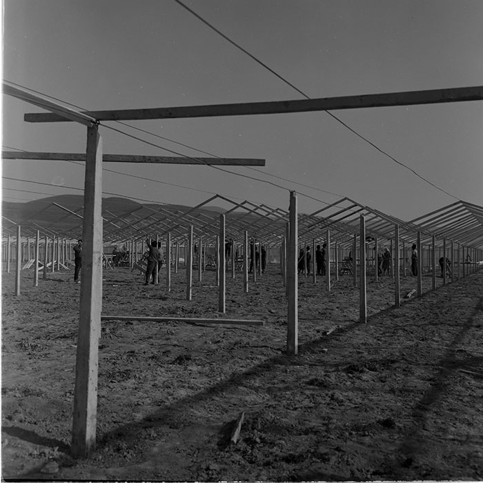 minerva_1965-1972_c1_c19_013