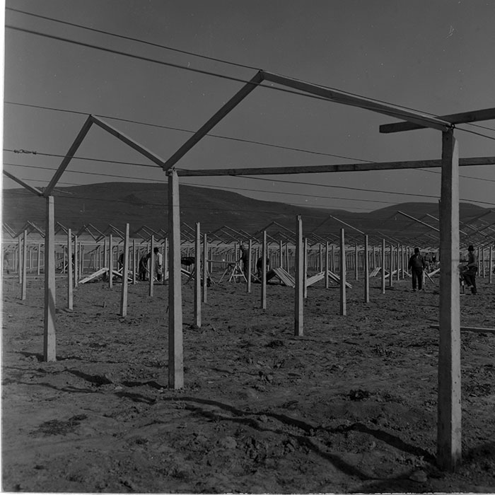 minerva_1965-1972_c1_c19_014