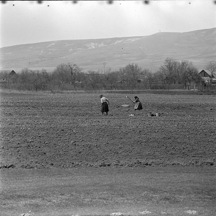 minerva_1965-1972_c1_c21_008