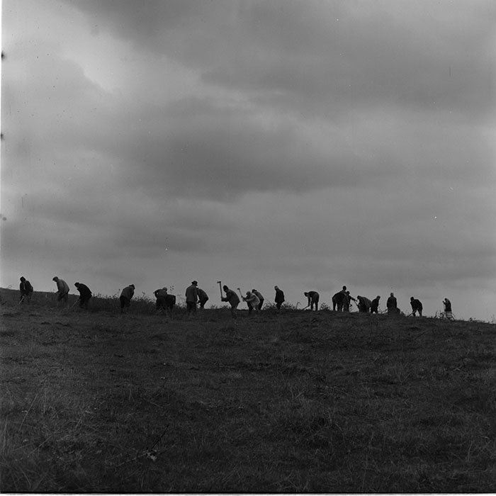 minerva_1965-1972_c1_c22_001