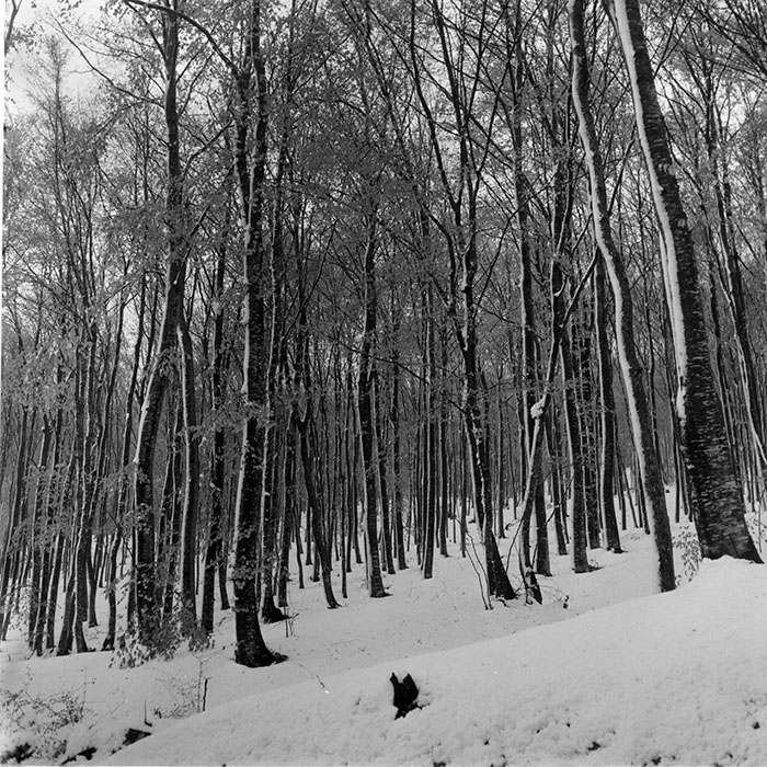 minerva_1965-1972_c1_c22_003