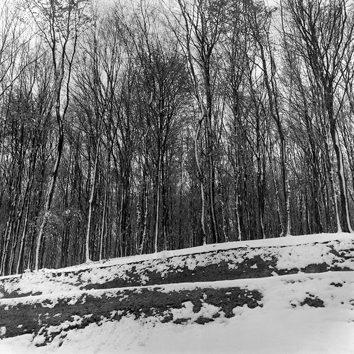 minerva_1965-1972_c1_c22_004