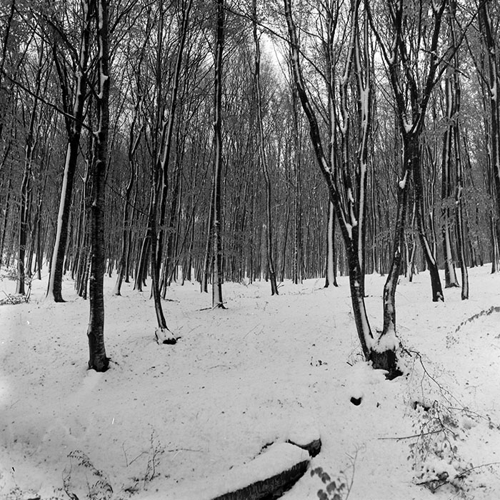 minerva_1965-1972_c1_c22_005