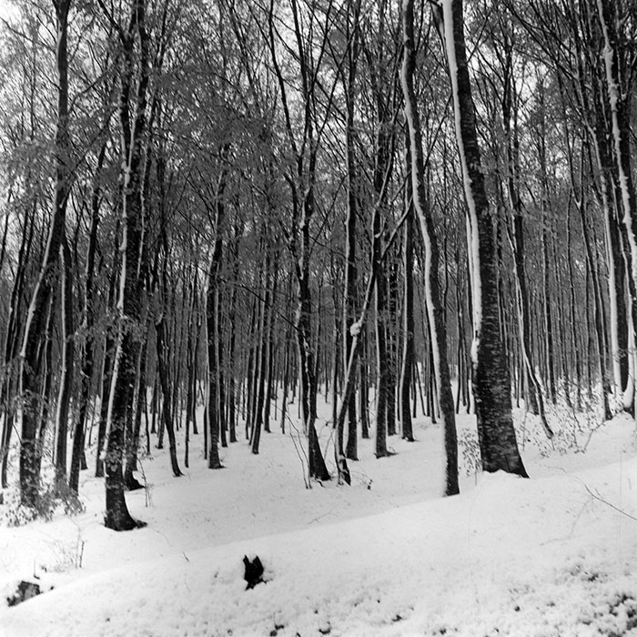 minerva_1965-1972_c1_c22_006