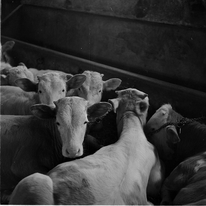 minerva_1965-1972_c1_c23_016