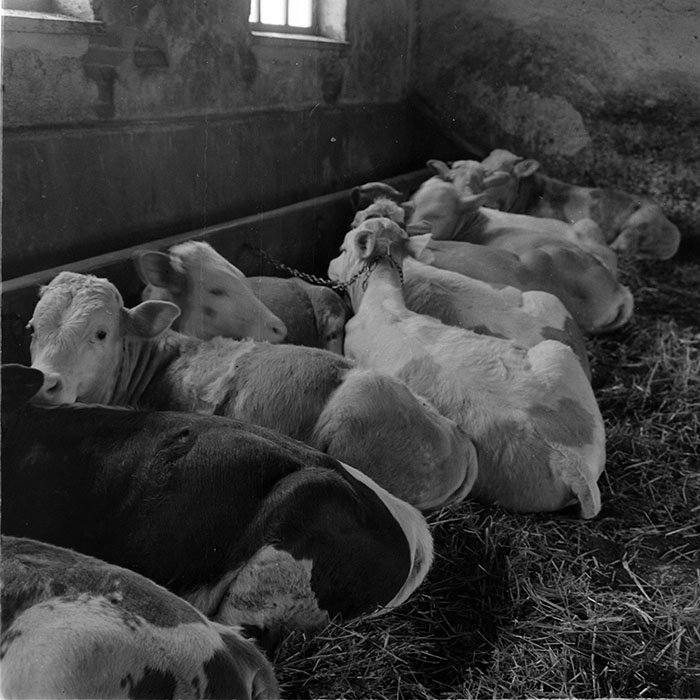 minerva_1965-1972_c1_c23_017