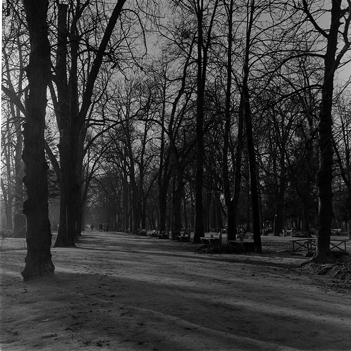 minerva_1965-1972_c1_c26_003