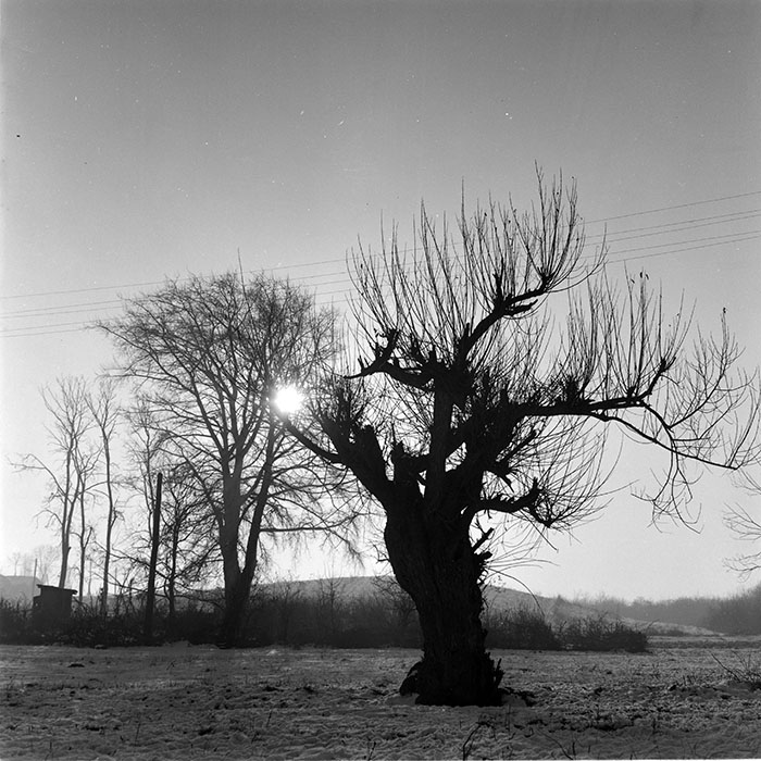 minerva_1965-1972_c1_c34_001