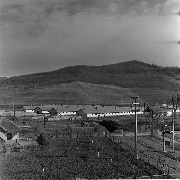 minerva_1965-1972_c1_c34_005