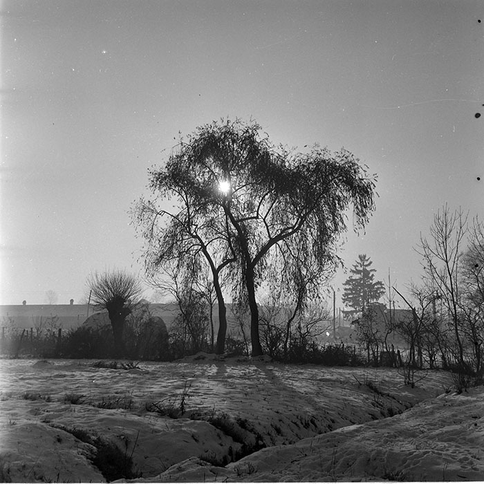 minerva_1965-1972_c1_c34_006