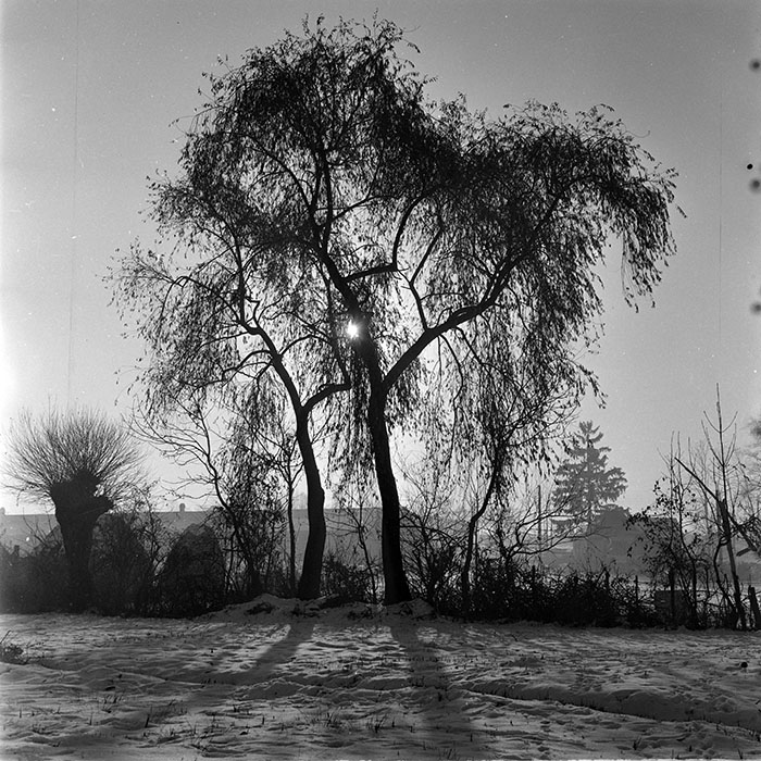 minerva_1965-1972_c1_c34_007