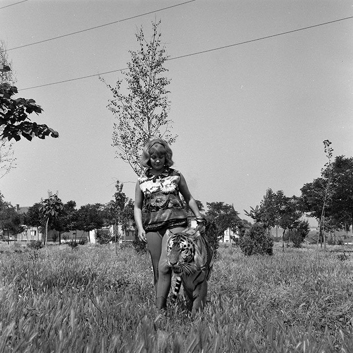 minerva_1966-1972_c1_c02_002