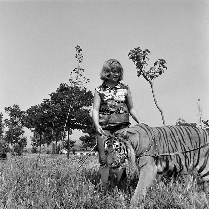 minerva_1966-1972_c1_c02_003