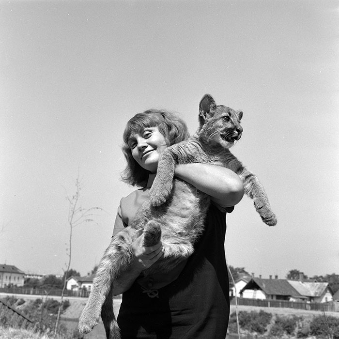 minerva_1966-1972_c1_c02_009