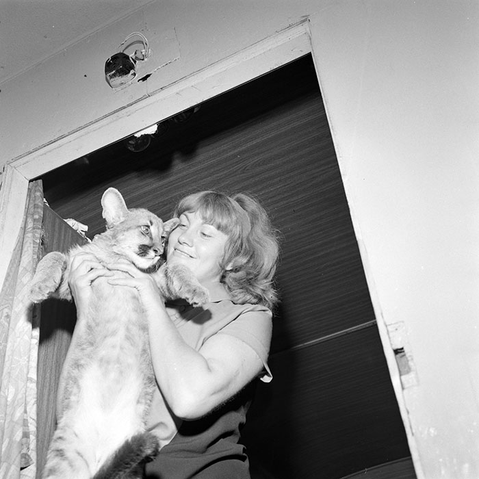 minerva_1966-1972_c1_c02_013