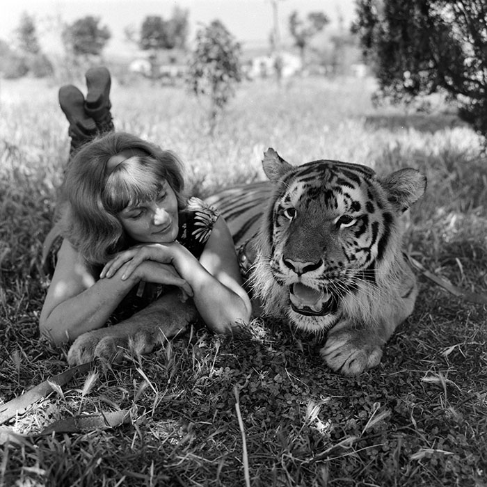 minerva_1966-1972_c1_c02_019