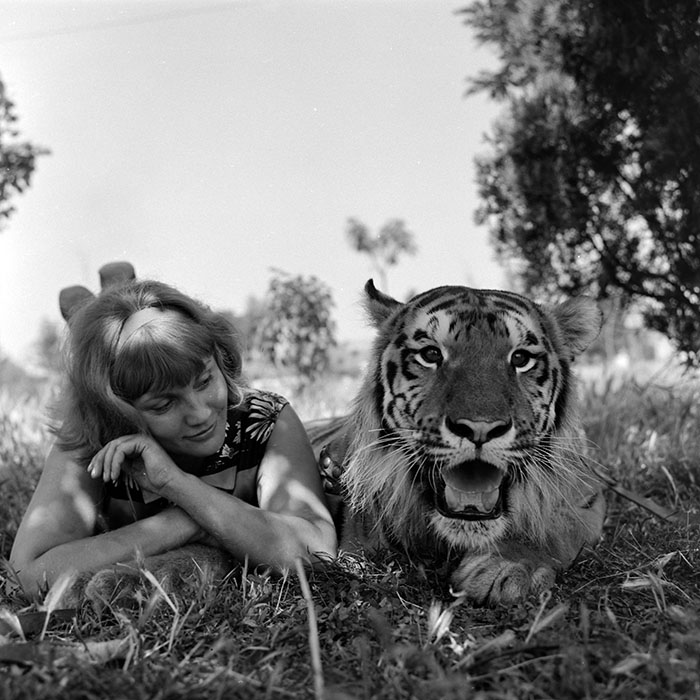 minerva_1966-1972_c1_c02_020