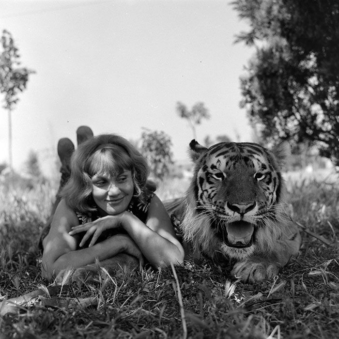 minerva_1966-1972_c1_c02_021