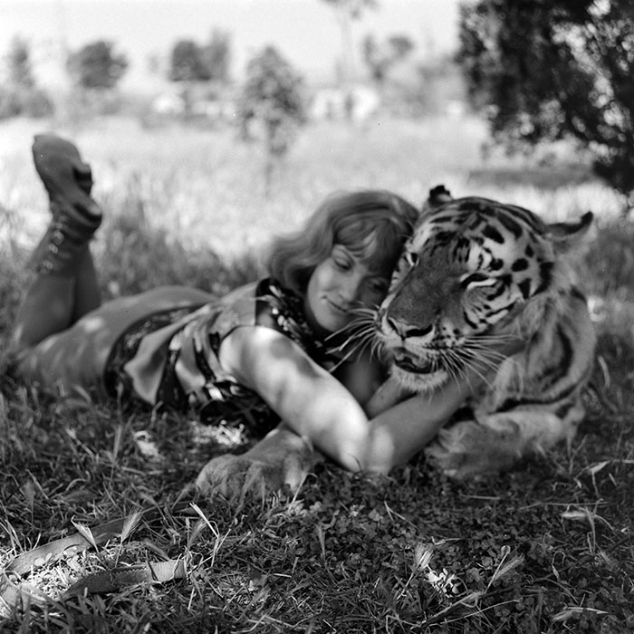 minerva_1966-1972_c1_c02_024