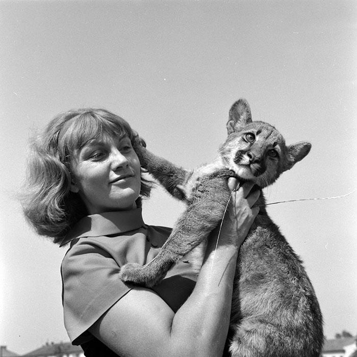 minerva_1966-1972_c1_c02_027