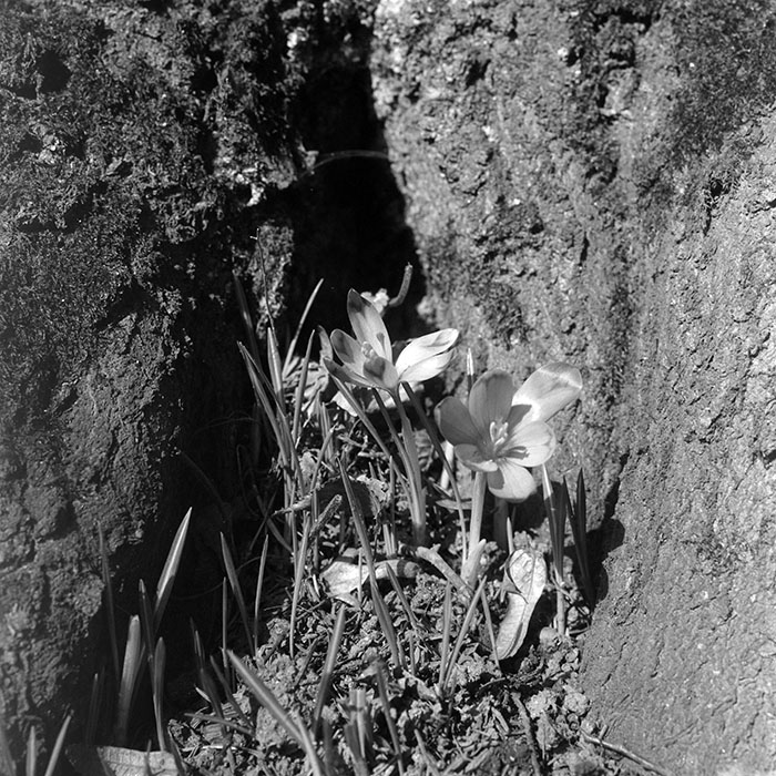 minerva_1966-1972_c1_c07_001