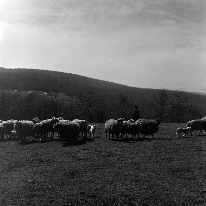 minerva_1966-1972_c1_c07_009