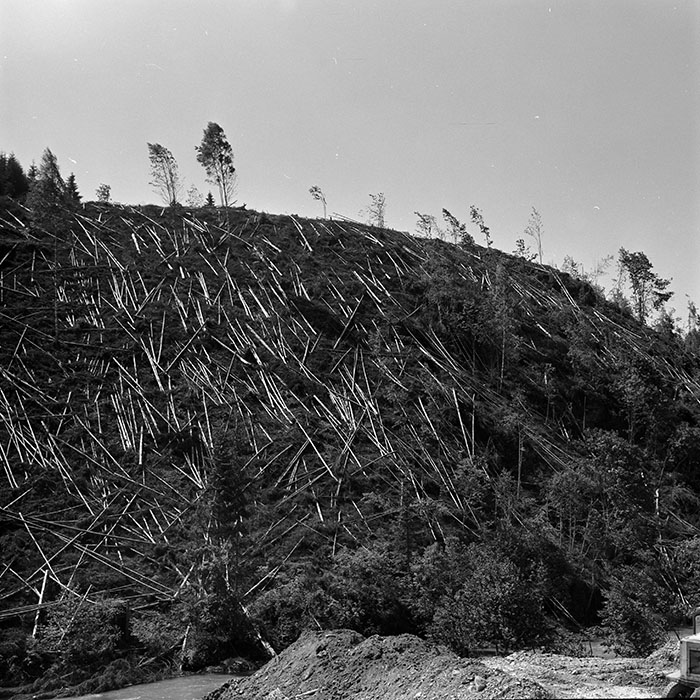 minerva_1966-1972_c1_c11_005