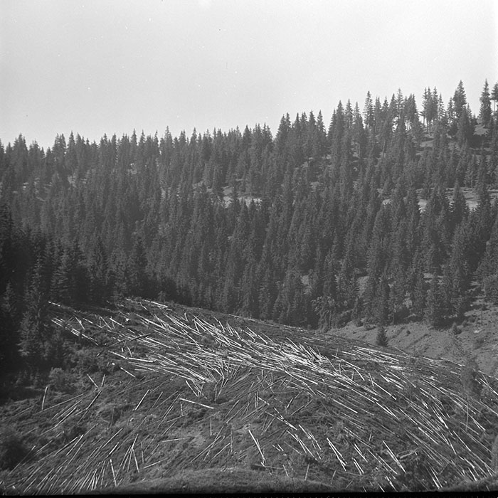 minerva_1966-1972_c1_c11_012