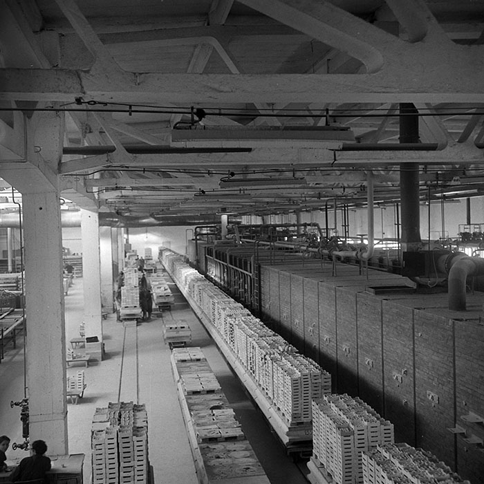 minerva_1966-1972_c1_c14_009