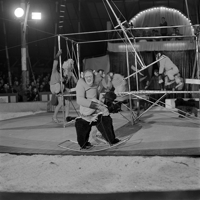 minerva_1966-1972_c1_c20_004