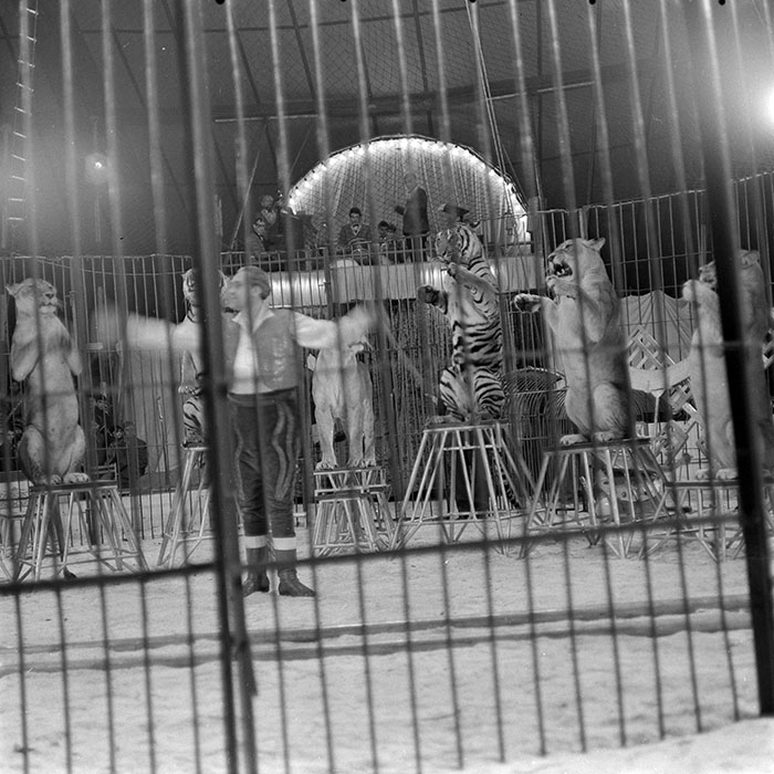 minerva_1966-1972_c1_c20_007