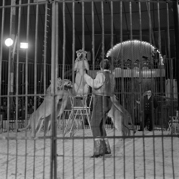 minerva_1966-1972_c1_c20_009