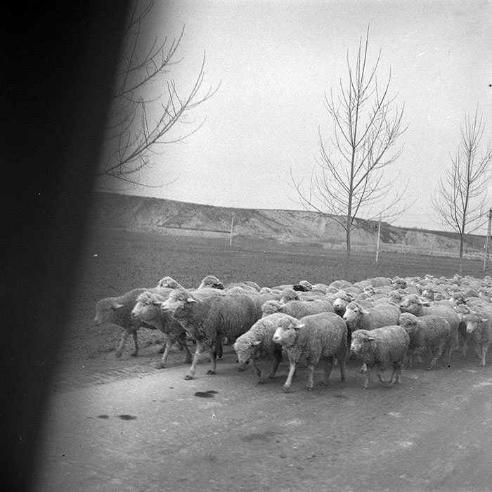 minerva_1966-1972_c1_c23_001