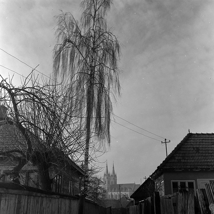 minerva_1966-1972_c1_c24_001