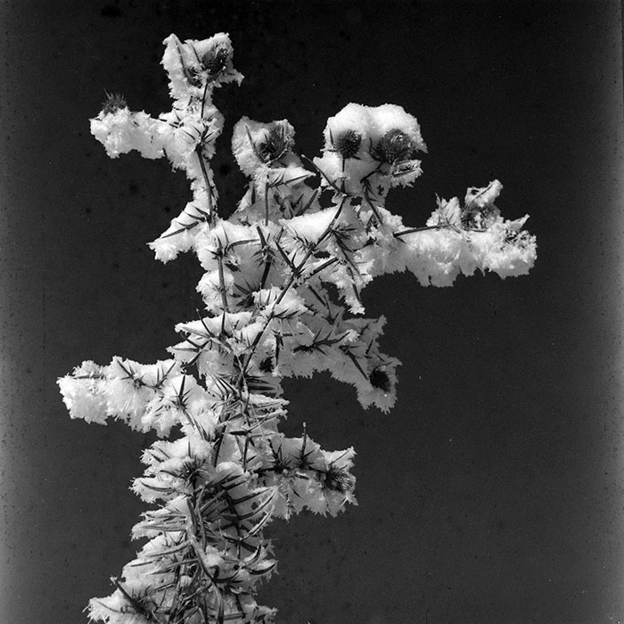 minerva_1966-1972_c1_c41_001