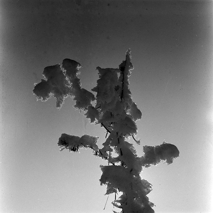 minerva_1966-1972_c1_c41_002