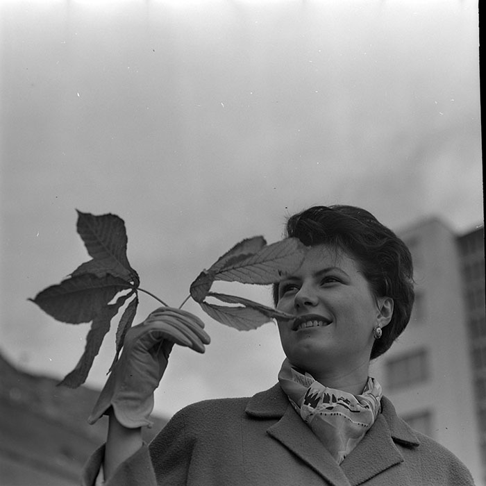 minerva_1966-1972_c1_c43_008