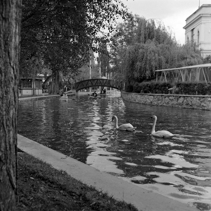 minerva_1966-1972_c1_c43_014