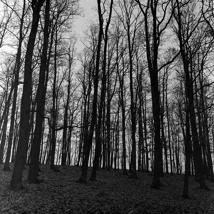 minerva_1966-1972_c1_c43_017