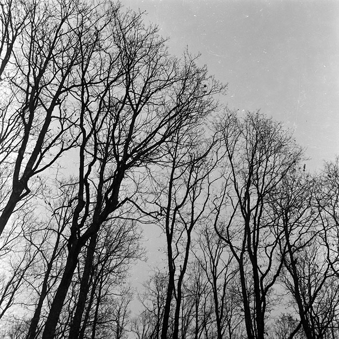 minerva_1966-1972_c1_c43_018