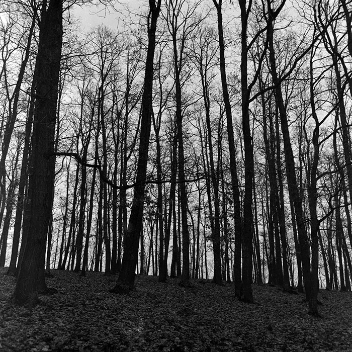 minerva_1966-1972_c1_c43_019