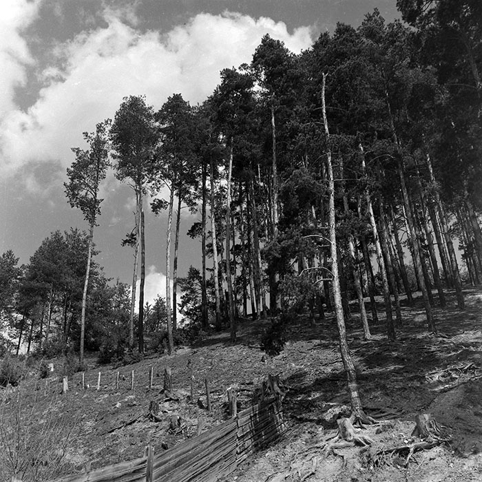 minerva_1966-1972_c1_c43_024