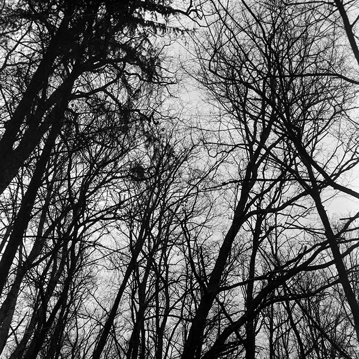 minerva_1966-1972_c1_c43_026