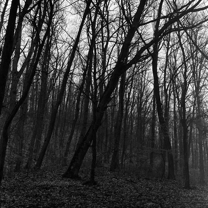 minerva_1966-1972_c1_c43_027