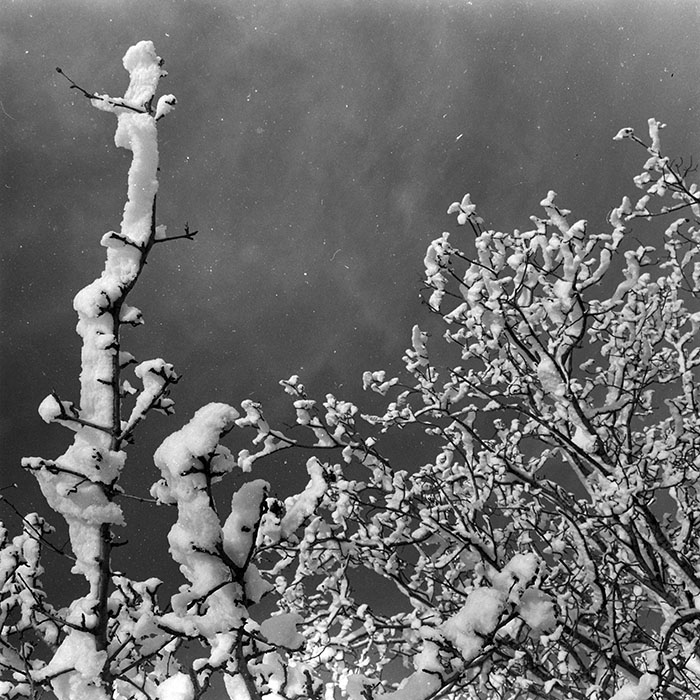 minerva_1966-1972_c1_c45_001