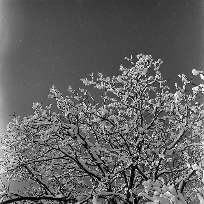 minerva_1966-1972_c1_c45_003